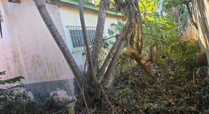 Lucia da AAVC volta a solicitar revitaliza&ccedil;&atilde;o do Centro Socioeducativo Raio de Sol e defende retomada de projetos sociais em Silviol&acirc;ndia