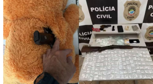 Pol&iacute;cia encontra arma escondida em urso de pel&uacute;cia durante opera&ccedil;&atilde;o em MS; 5 s&atilde;o presos