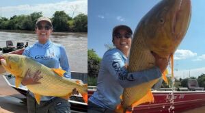 'ACHEI A BARRA DE OURO': empres&aacute;ria coxinense fisga peixe dourado gigante de 18 kg em rio de Mato Grosso do Sul