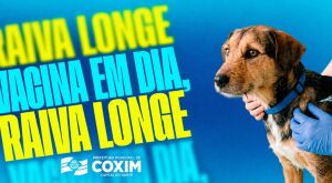 Campanha antirr&aacute;bica em Coxim: vacina&ccedil;&atilde;o de c&atilde;es e gatos ocorre nos dias 19 e 26 de setembro