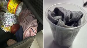 Homem &eacute; preso suspeito de invadir casa por meses para furtar calcinhas, voltar e trocar pe&ccedil;as em MS