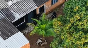 Com ordens judiciais cumpridas em Coxim, Pedro Gomes e Sonora, PF derruba organiza&ccedil;&atilde;o criminosa com 24 pris&otilde;es e buscas em pres&iacute;dios de MS