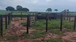 Fazendeiro é multado em R$ 22 mil por degradar área protegida de reserva legal