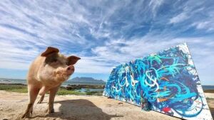 Porca conhecida 'Pigcasso' pinta quadros com a boca e fatura mais de R$ 150 mil com obra