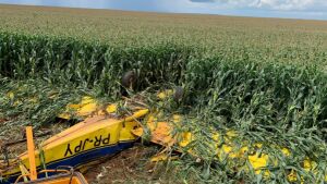 Avião agrícola cai em Chapadão do Sul e mata piloto