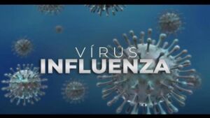 Influenza: 4 motivos para se vacinar contra o vírus hoje mesmo