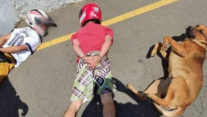 Cão deita ao lado de suspeitos durante abordagem policial no Paraná, e foto viraliza: 'Cachorro foi parceiro dos caras', diz PM