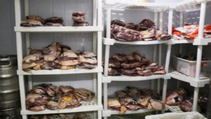 Funcionário furtou mais de 80 kg de carne: 
