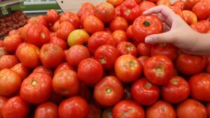 Tomate está com preço de carne e assusta clientes em Campo Grande