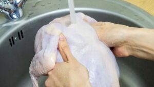Os perigos de lavar o frango antes de cozinhá-lo