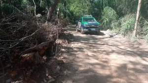 PMA multa empresário em R$ 20 mil por abrir estrada ilegal próximo a rio
