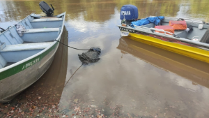 Corpo de homem que caiu no rio Salobra é encontrado