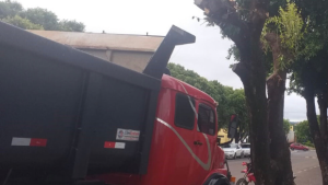 Polícia Militar Ambiental de Aquidauana autua motorista por danificar árvore em logradouro público 