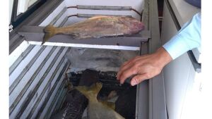 PMA de Miranda e Imasul fazem operação nos rios Miranda e Aquidauana, fiscalizam 62 embarcações, 186 pescadores e apreendem petrechos ilegais de pesca