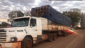 PMA de Campo Grande apreende carreta com carga de 100 m³ de carvão ilegal, fecha carvoaria e autua carvoeiro e caminhoneiro em R$ 60 mil