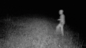 Caçador afirma ter fotografado um 'alienígena nu e cabeçudo'