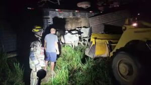 Caminhão carregado com 23 nelores de MS tomba em rodovia de Minas Gerais