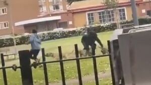 Mulher é brutalmente atacada por três pitbulls; vídeo é desesperador