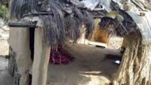 Adolescente morre após ser picada por cobra em 'cabana de menstruação' 