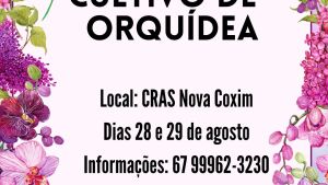 Curso gratuito de cultivo de orquídeas será realizado em Coxim