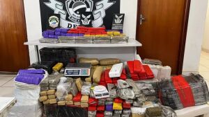 Polícia descobre esconderijo de drogas após denúncia