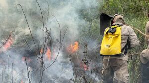 Por terra, água e ar: bombeiros iniciam combate aéreo a focos de incêndio em Bonito
