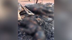 Líder religiosa e marido foram mortos carbonizados pelo 'neto'; homem usou cachaça para atear fogo