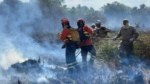 Bombeiros controlam incêndio florestal em Bonito e continuam em monitoramento na região