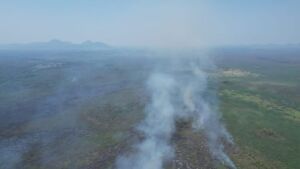 Incêndios no Pantanal são controlados após seis dias de atuação dos bombeiros