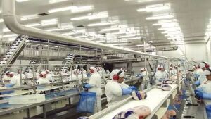 Japão confirma fim do embargo à carne de aves de MS