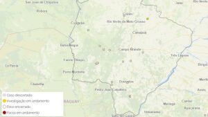 Gripe Aviária: Mato Grosso do Sul tem mais um foco investigado e Brasil chega a 123 casos