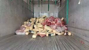 Fiscais apreendem 2,1 toneladas de mussarela com venda proibida

