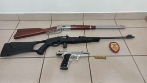 Polícia Civil em Coxim cumpre mandado de busca na casa de autor de violência doméstica e apreende armas e munições 