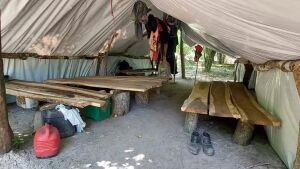 Dormindo em tábuas de madeira, 11 trabalhadores explorados são resgatados de fazenda em MS