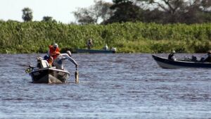 'Pesque e solte' é liberado para pescadores nos rios Paraguai e Paraná
