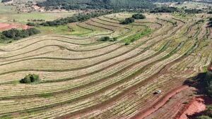 Projeto prevê a recuperação de 6 mil hectares próximos ao Rio Taquari