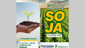 Estudo de viabilidade de plantio da soja em Coxim, será apresentado nesta quarta-feira