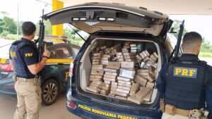 Polícia Rodoviária Federal apreende 274 quilos de entorpecente na BR-163 em Coxim
