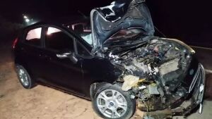 Carro com família fica destruído ao atropelar e matar anta na BR-163 entre Coxim e Sonora 
