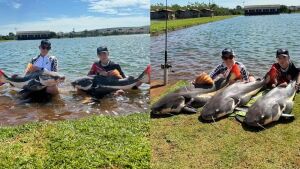 Adolescente de 15 anos fisga peixe gigante de 1,65m em rio no Pantanal: 'é maior que eu', diz pescador mirim; 