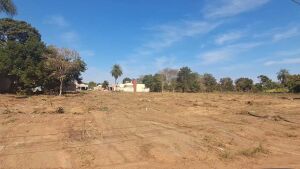 Associação Comercial de Coxim realiza limpeza do terreno de sua propriedade 
