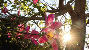 Primavera começa com alerta de calor em todo o Estado e temperatura pode chegar a 43°C