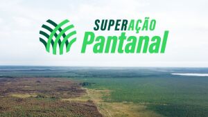 SuperAção Pantanal: Senar/MS ajuda produtores pantaneiros na recuperação após incêndios
