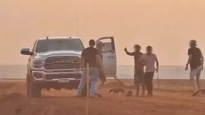 Três são presos ao serem flagrados incendiando lavouras às margens de estrada em São Gabriel do Oeste 
