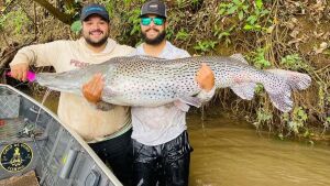 Durante pescaria, amigos fisgam pintado gigante de 1,72m e 50 kg em MS