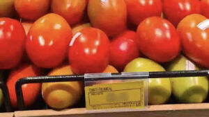 Preço do tomate vai de R$ 2,98 a R$ 7,14 e lidera variação de preços em MS 