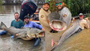 O rio de Mato Grosso do Sul que abriga peixes imensos e maiores do que muita gente