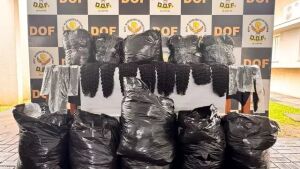 Polícia apreende 107 kg de cabelo humano avaliado em R$ 907 mil