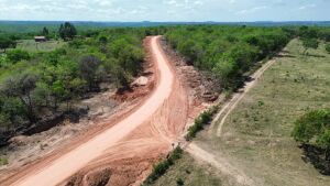 Trabalhador morre após ser atacado por enxame de abelhas em fazenda de Mato Grosso do Sul