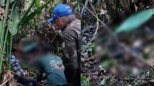 Vídeo mostra resgate do corpo de homem atacado por onça no Pantanal